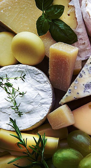 Gelatin Used in Dairy Products