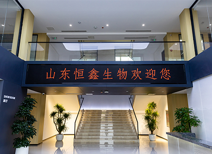 Hengxin Company Profile