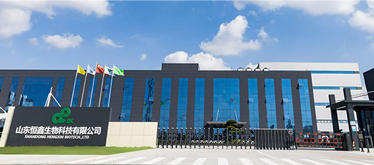 Company Profile