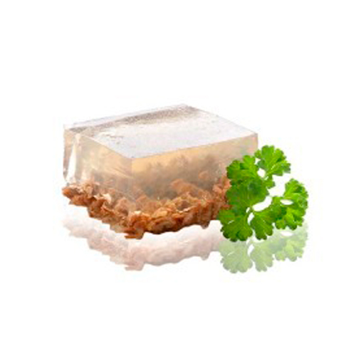 hydrolyzed gelatin meaning
