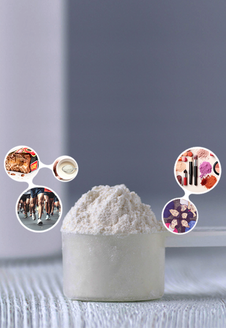 BEEF COLLAGEN PEPTIDE FISHCOLLAGEN PEPTIDE COLLAGEN
