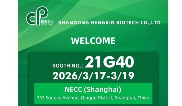 Revitalize Your Body Inside Out with Hydrolyzed Collagen: The Ultimate Guide to Rejuvenation