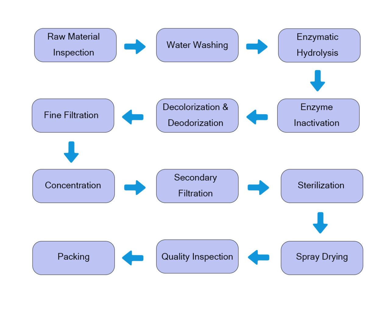 rice_protein-process.png