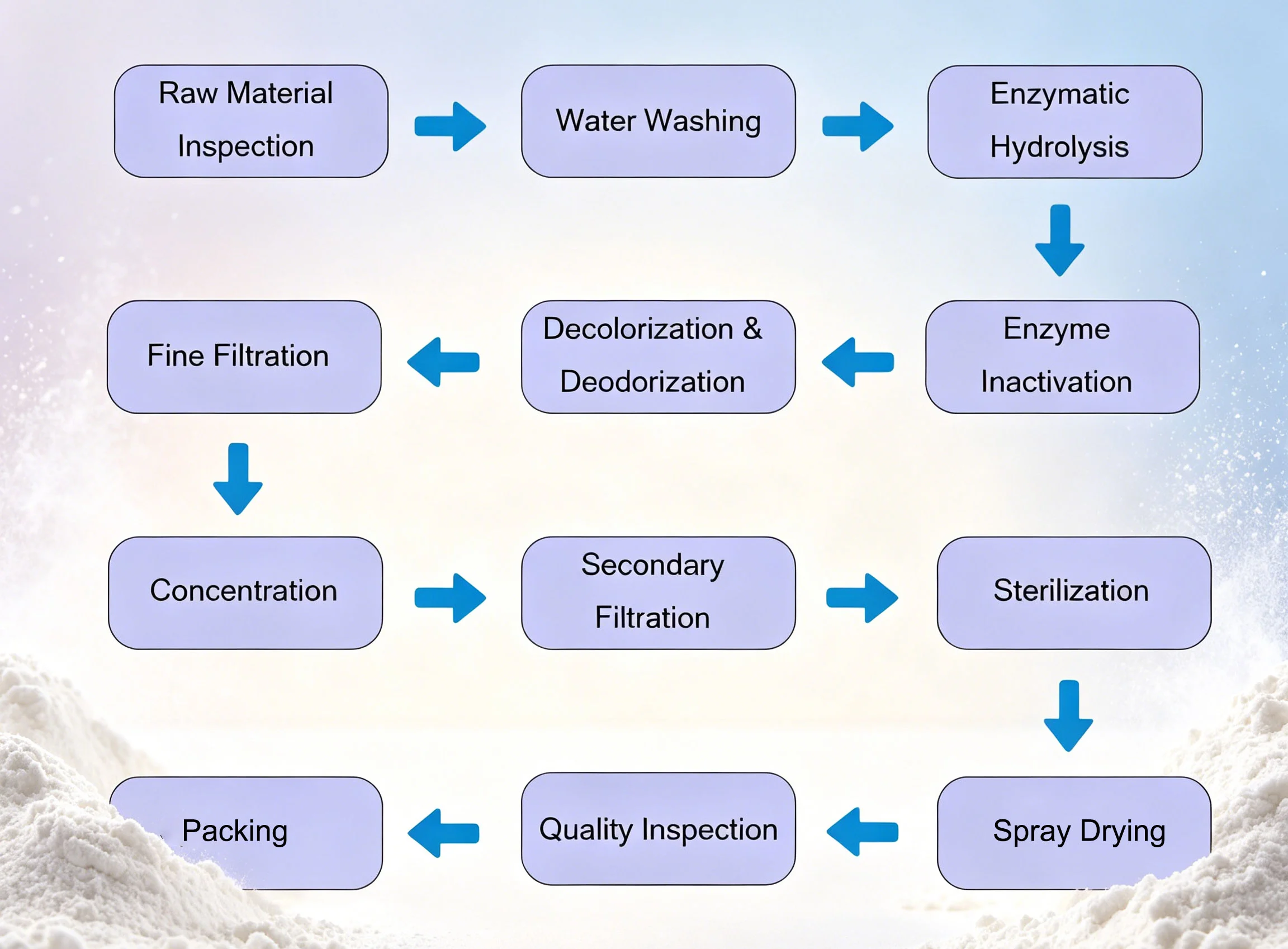 plant-based-peptides-production-process.webp plant-based-peptides-production-process.webp