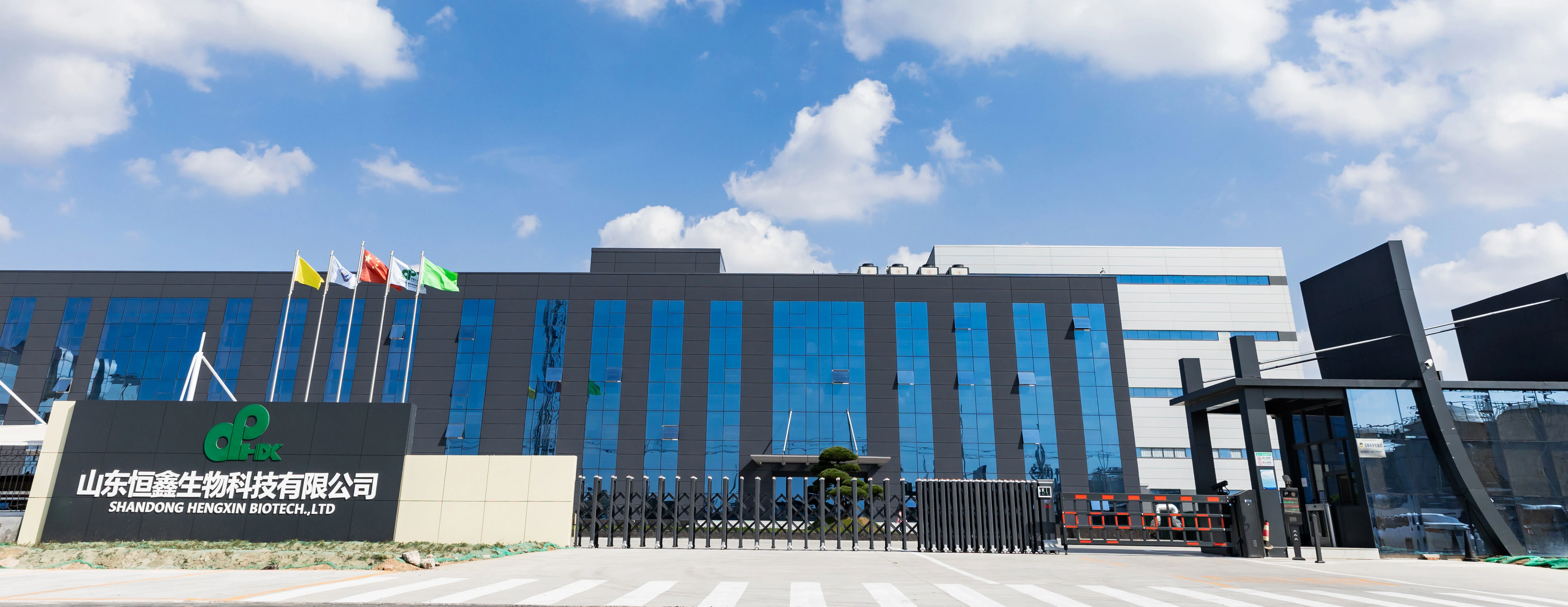 hengxin-collagen-peptide-manufacturer.webp