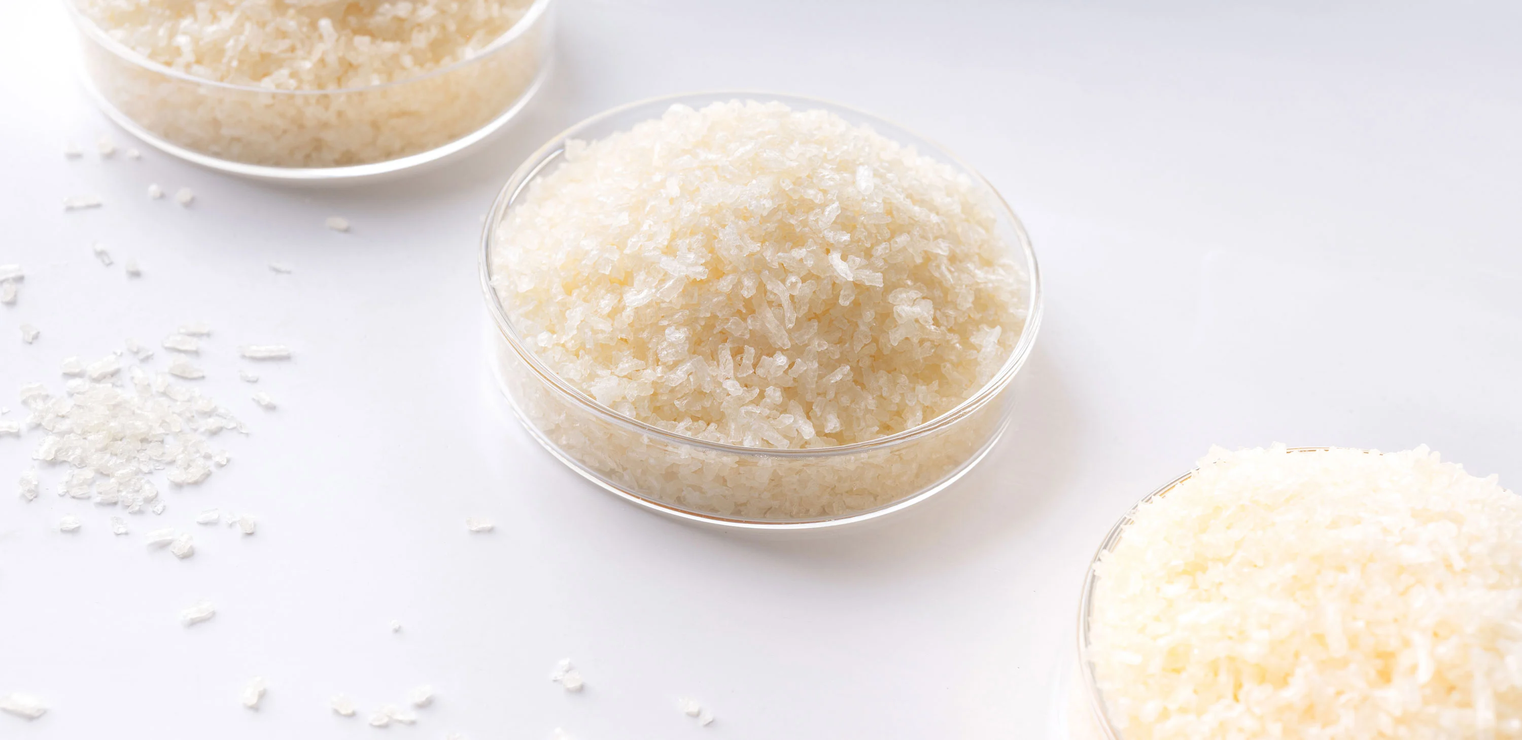 three-samples-of-pharmaceutical-grade-gelatin-from-hengxin-manufacturer-in-petri-dishes-on-desktop.webp three-samples-of-pharmaceutical-grade-gelatin-from-hengxin-manufacturer-in-petri-dishes-on-desktop.webp