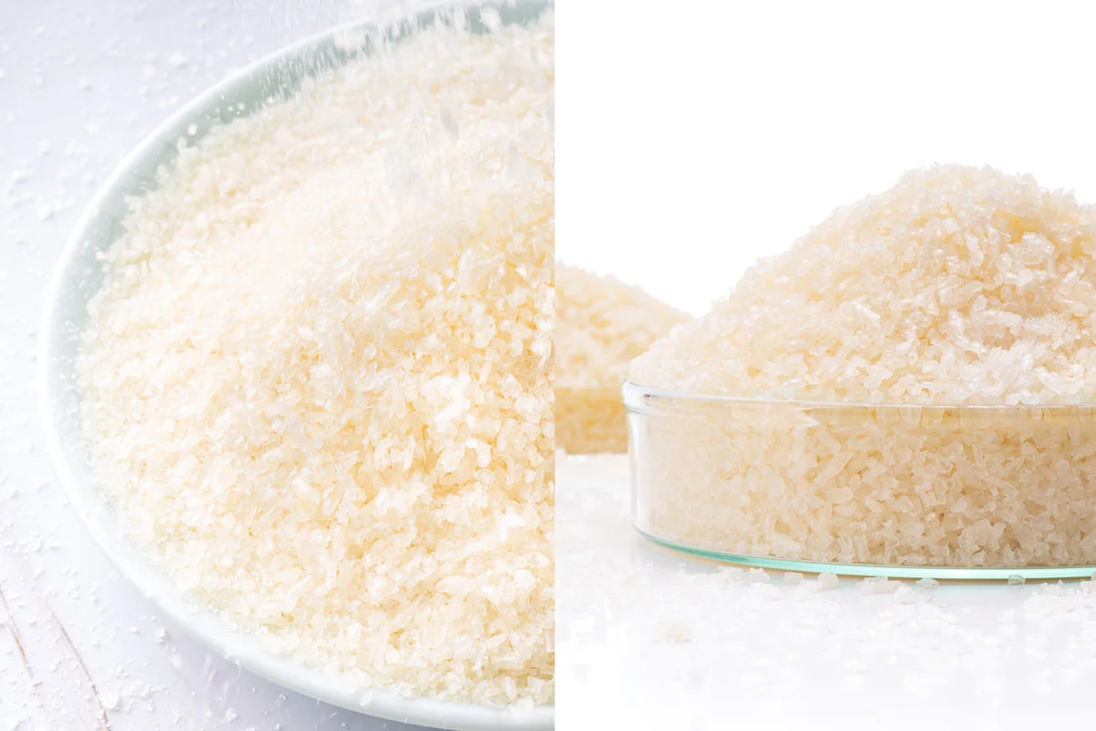 two-portions-of-gelatin-in-a-petri-dish.webp