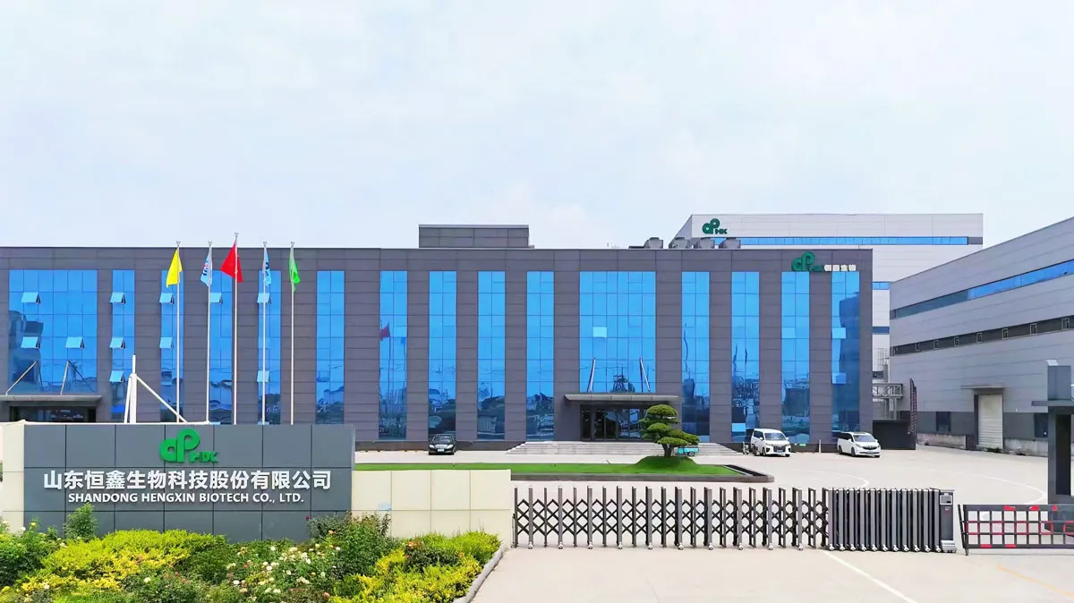 Company Profile