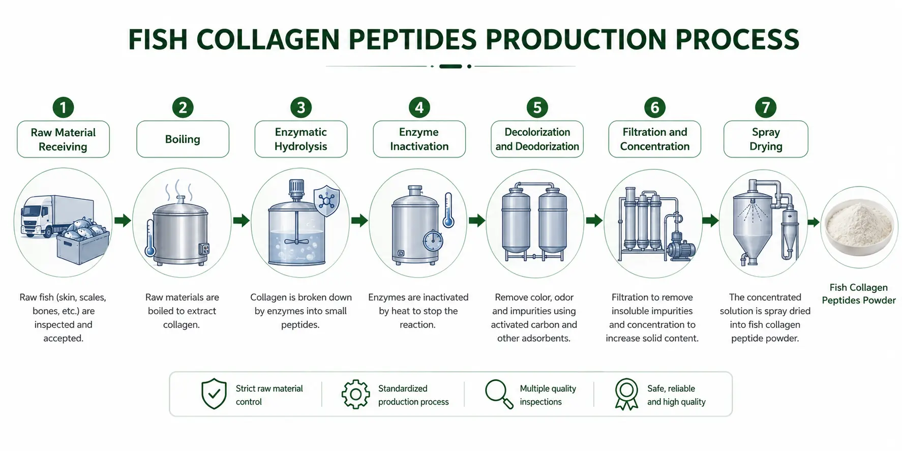 fish-collagen-peptide-production-process.webp