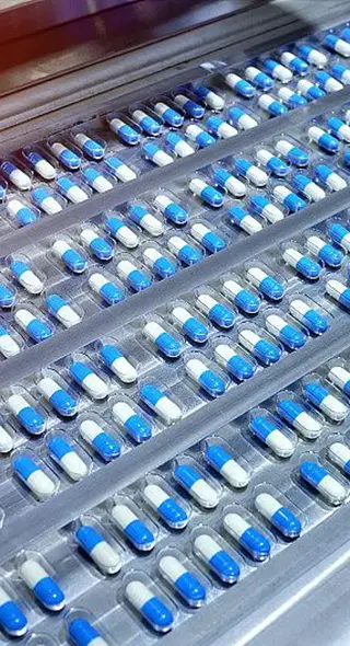 Gelatin Used in Pharmaceutical Excipients
