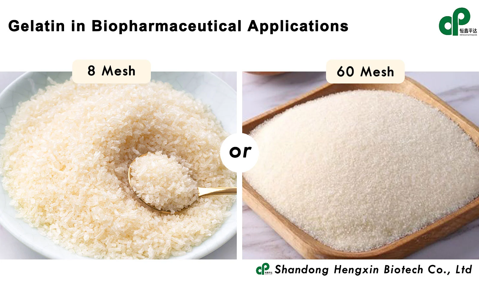 Gelatin in biopharmaceutical applications